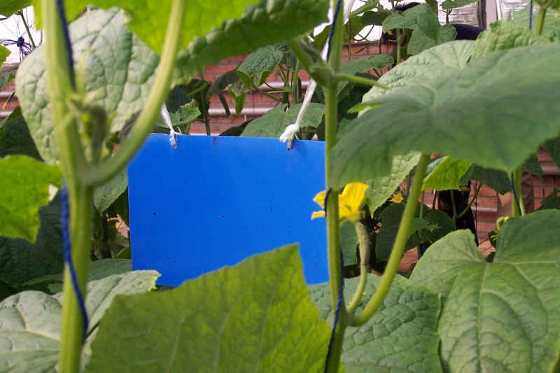 PJ-ZCB����/����/�˵� /��@��Чճ�x�{��